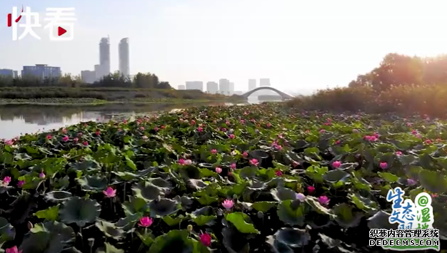 �����Ͻ��ϡ� �����財����Һ������и�Լ��