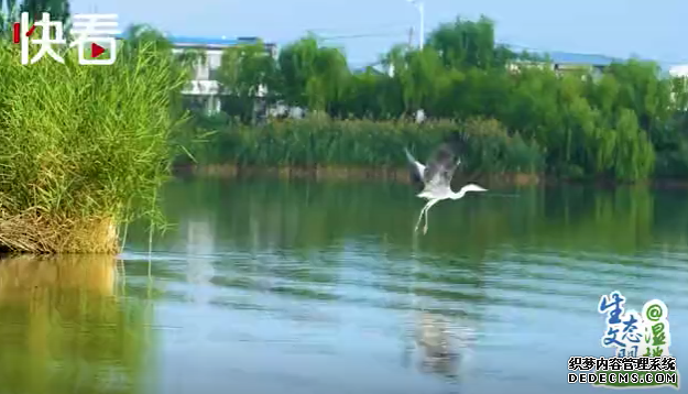 �����Ͻ��ϡ� �����財����Һ������и�Լ��