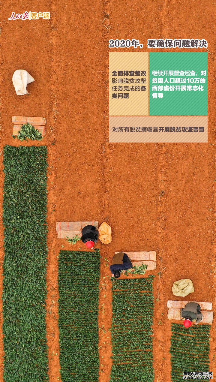 全面从严治党,习近平强调今年尤其要聚焦这件大事