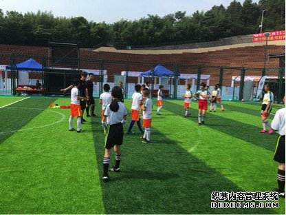 ����ȫ���������� 618ʨ�������ھ�����˭�ң�