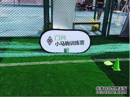 ����ȫ���������� 618ʨ�������ھ�����˭�ң�