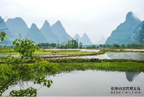 文庙岭上的诸神之战